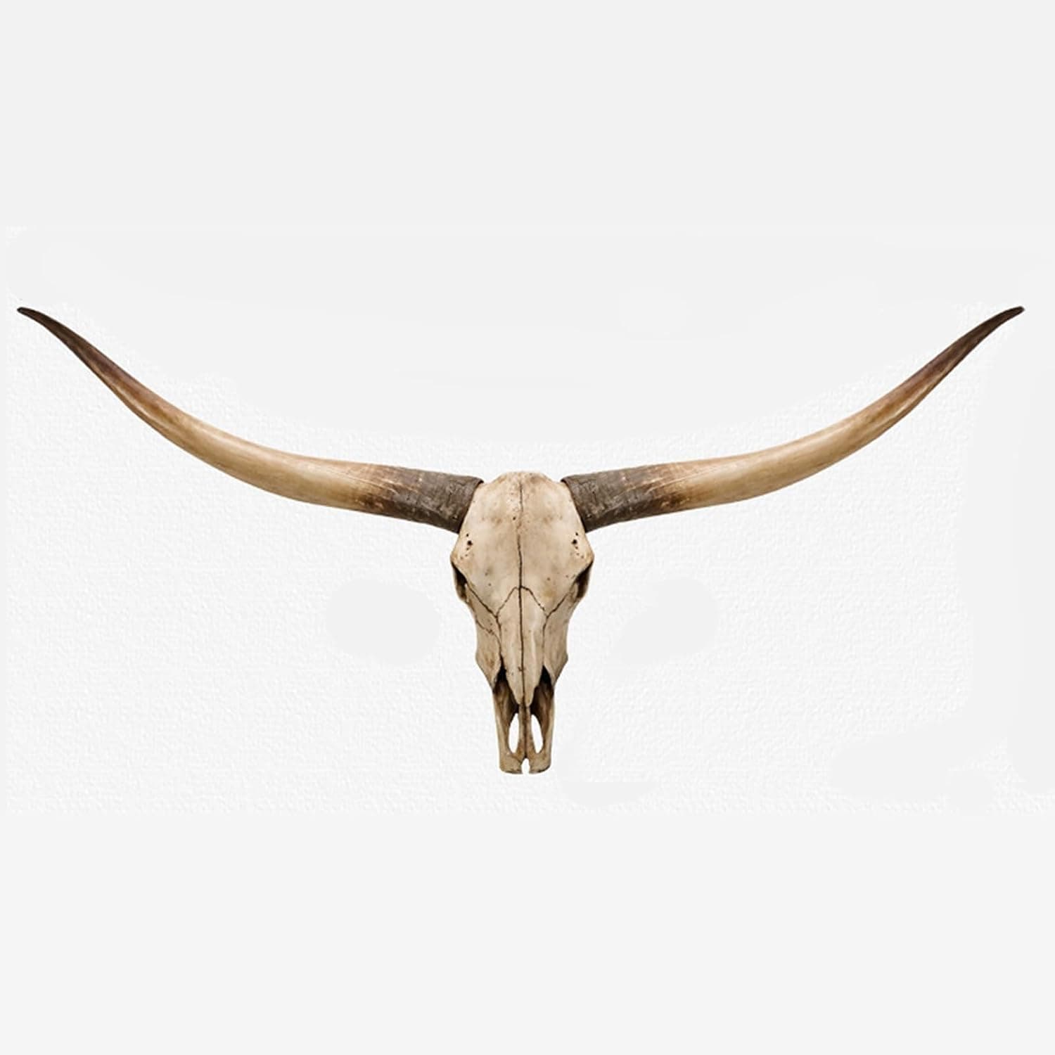 Faux longhorn skull wall mount (28")